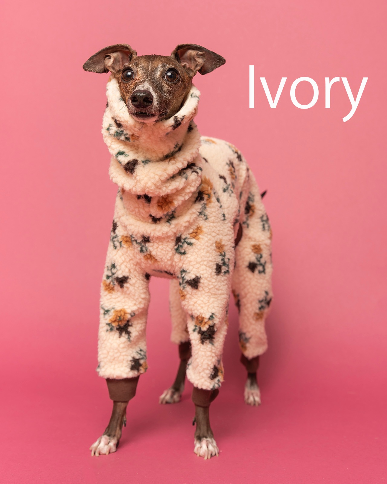 Boa Rompers��25AW