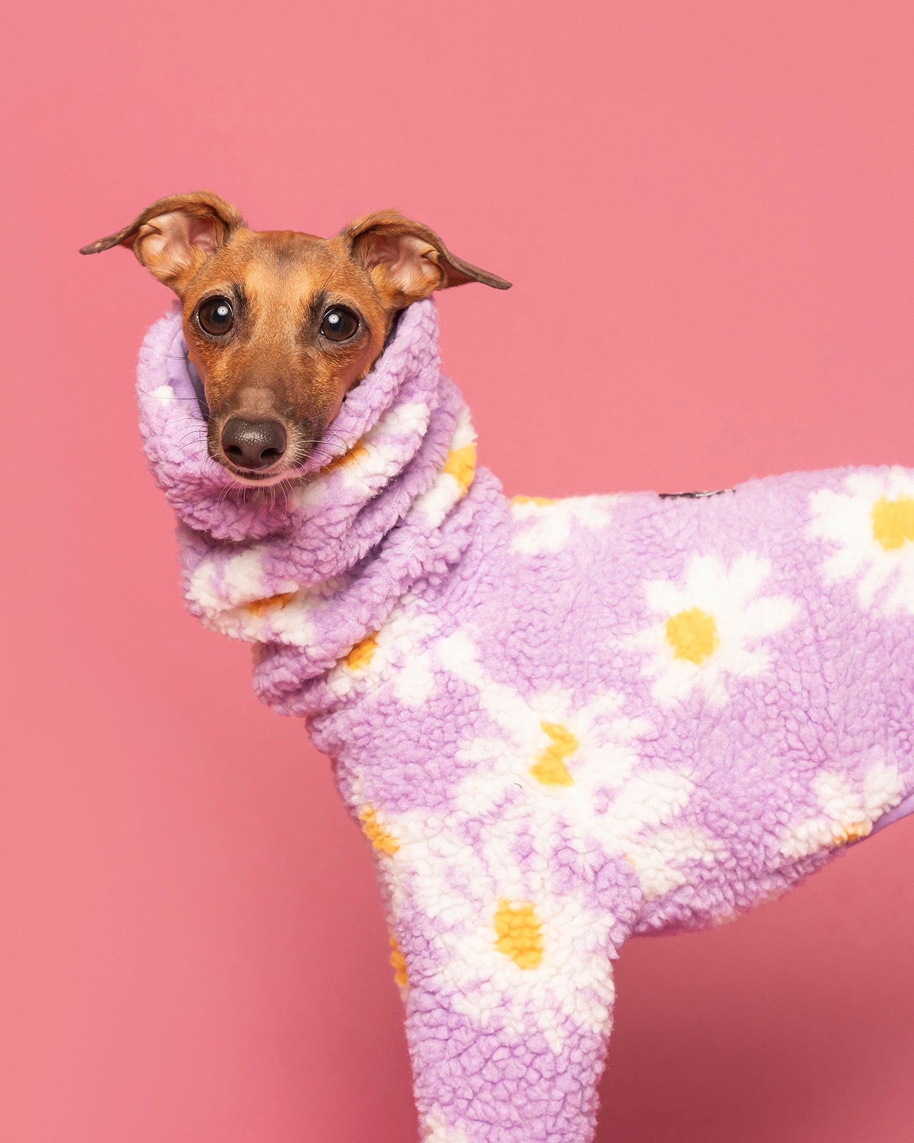 Boa Rompers��25AW