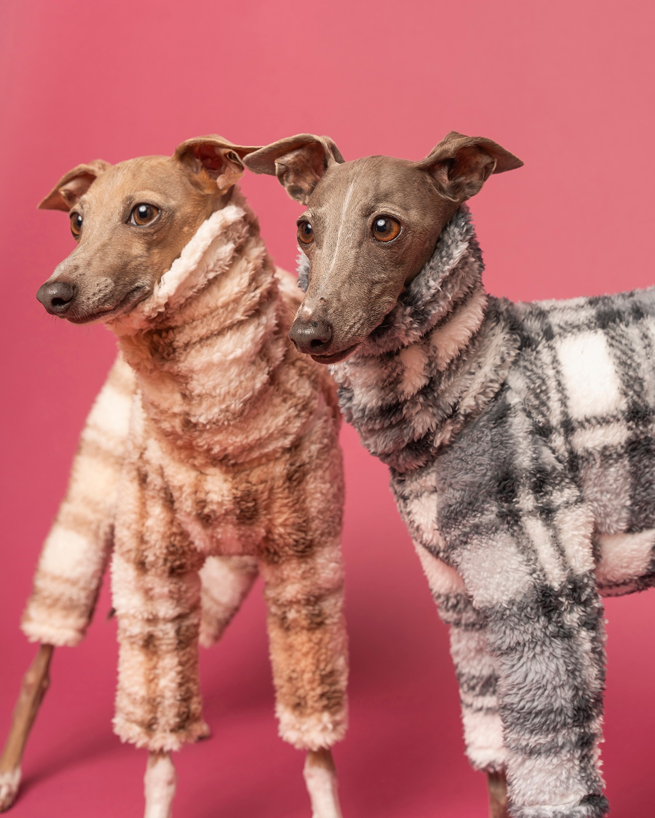 Marshmallow Boa Rompers25AW