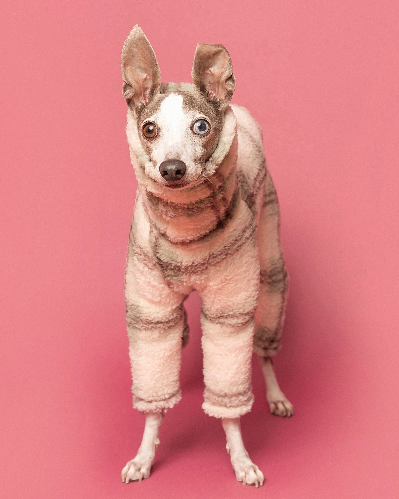 Marshmallow Boa Rompers25AW