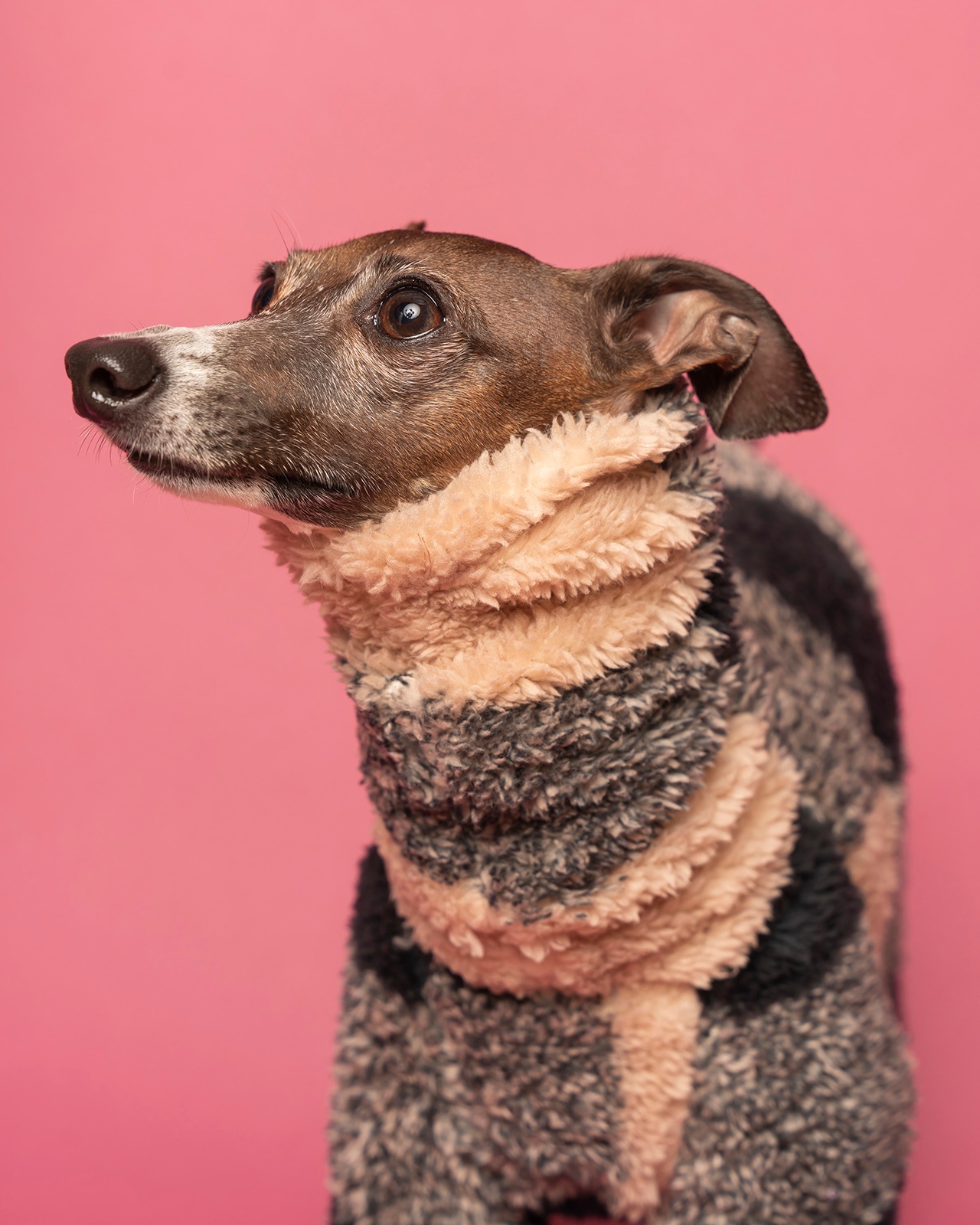 Marshmallow Boa Rompers25AW