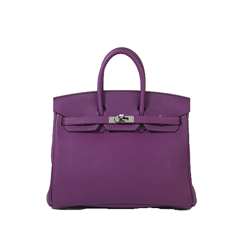 エルメス バーキン25 アネモネ トゴ シルバー金具 中古美品