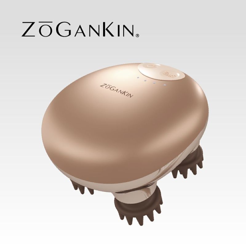 ZOGANKIN  (ゾーガンキン スカルプ )
