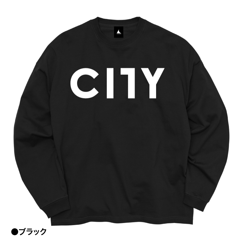 CITY BIG LOGO С󥰥꡼T