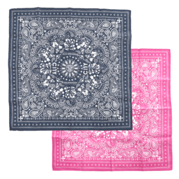 ���ڥ��ƥ� �Х����