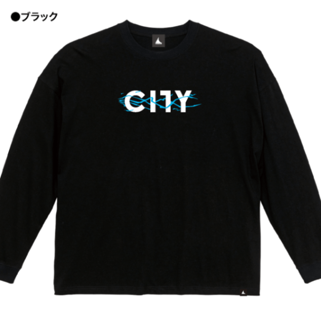 �饤�ȥ˥�CITY �����С����륨�åȥ���T