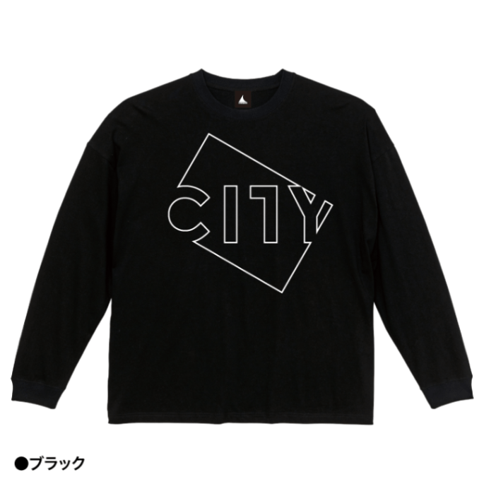 LINE CITY  С󥰥꡼T