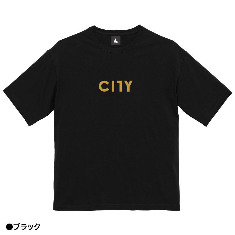 SMALL CITY LOGO СT