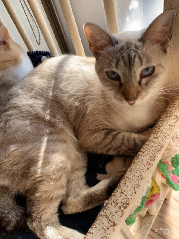 ����2101-14�������ƥ����ȡ��ȥХå�