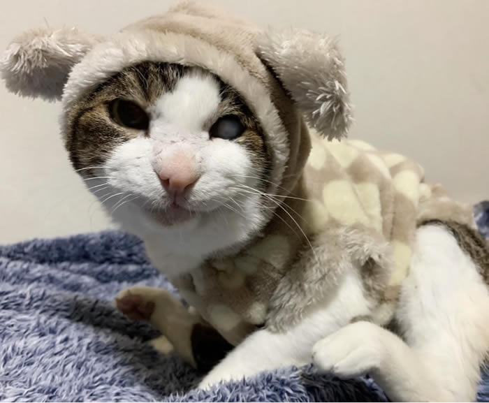 ����1201-06 �����ƥ����ݡ���