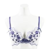 �ʥǥ������֥顡�ƣǥ��å�