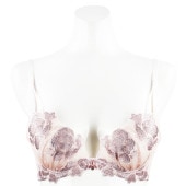 �ե쥤�����֥顡�£å��å�