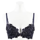 �ե쥤�����֥顡�ƣǥ��å�