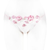 �ƥ������Хå��졼�����硼��