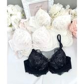 �ʥ륨��/������塡���ޡ��֥顡�ƣǥ��å�
