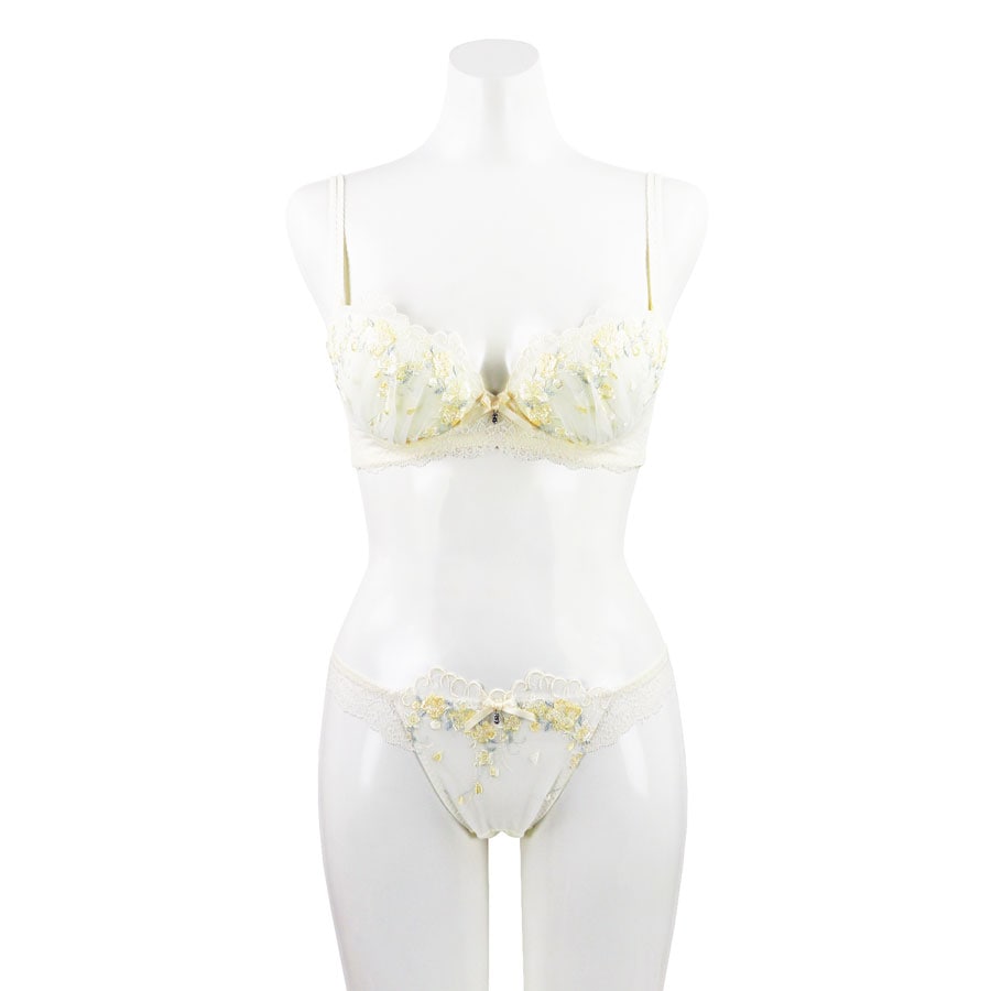 �ꥢ�����塡�ԥХå����硼��