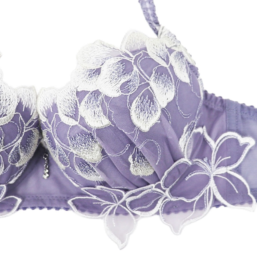 �������顡�֥顡�ǣȣɥ��å�