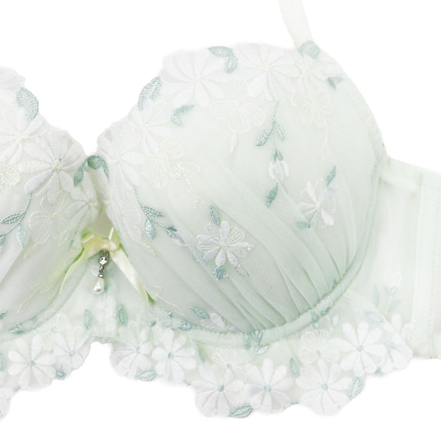 �ޡ�����åȡ��֥顡�ǣȣɥ��å�