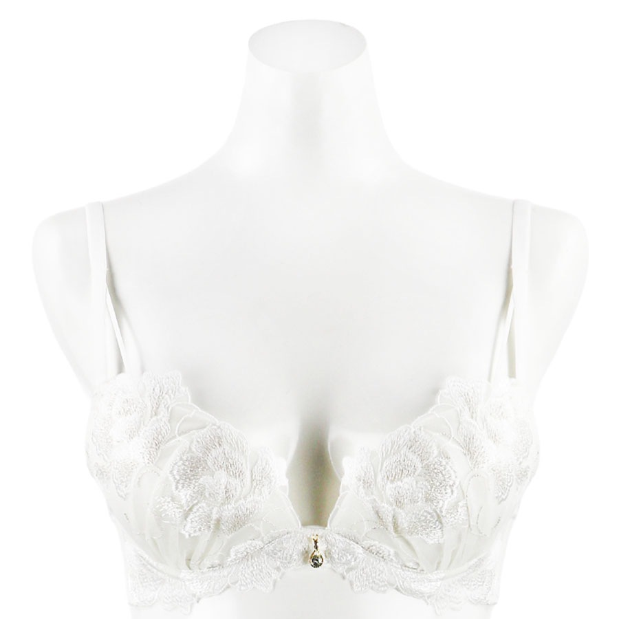 �ե쥤�����֥顡�£å��å�