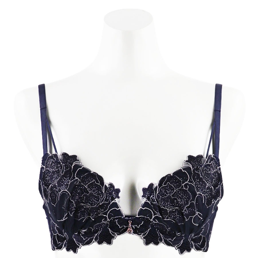 �ե쥤�����֥顡�£å��å�