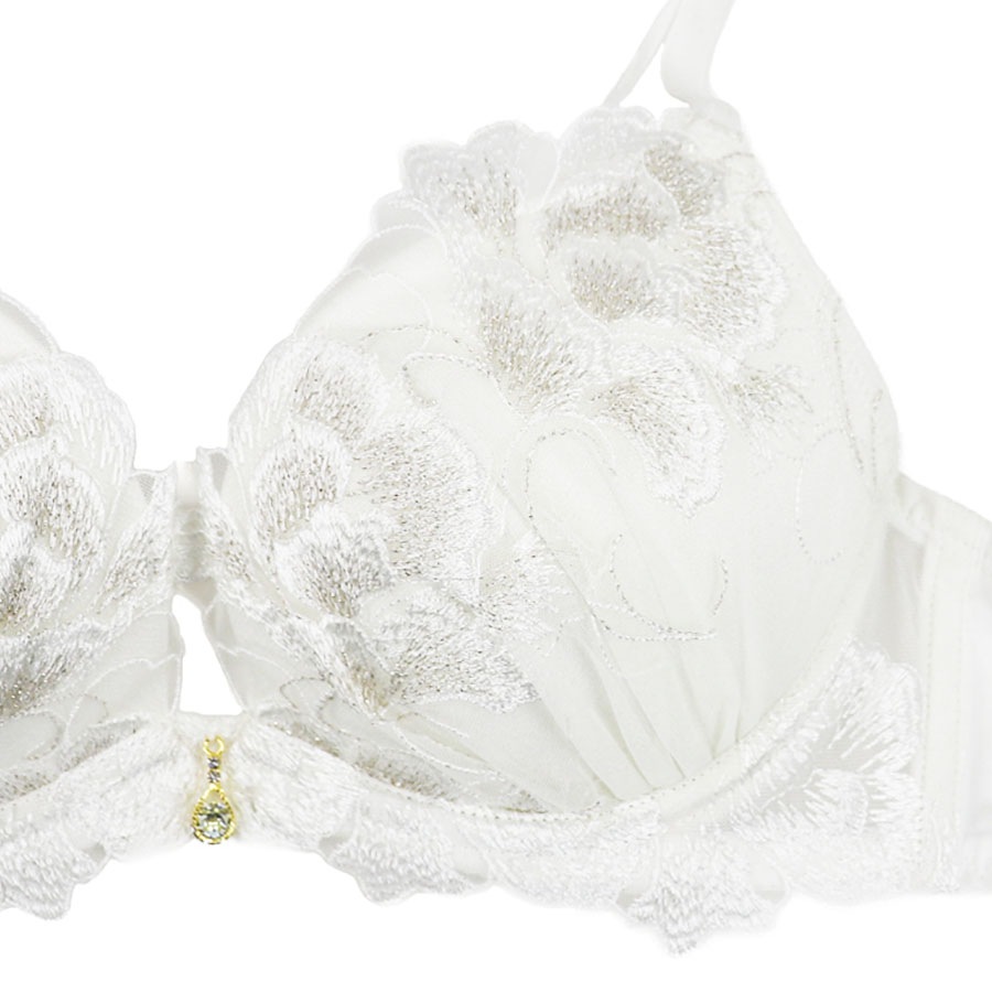 �ե쥤�����֥顡�£å��å�