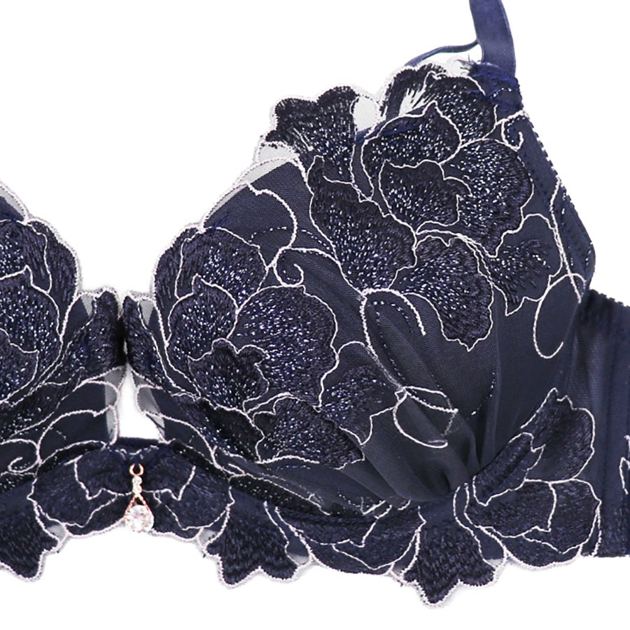 �ե쥤�����֥顡�£å��å�