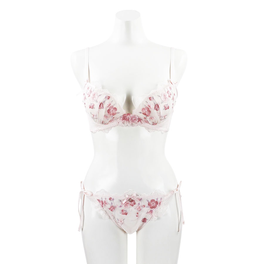 �ʥǥ������֥顡�ƣǥ��å�