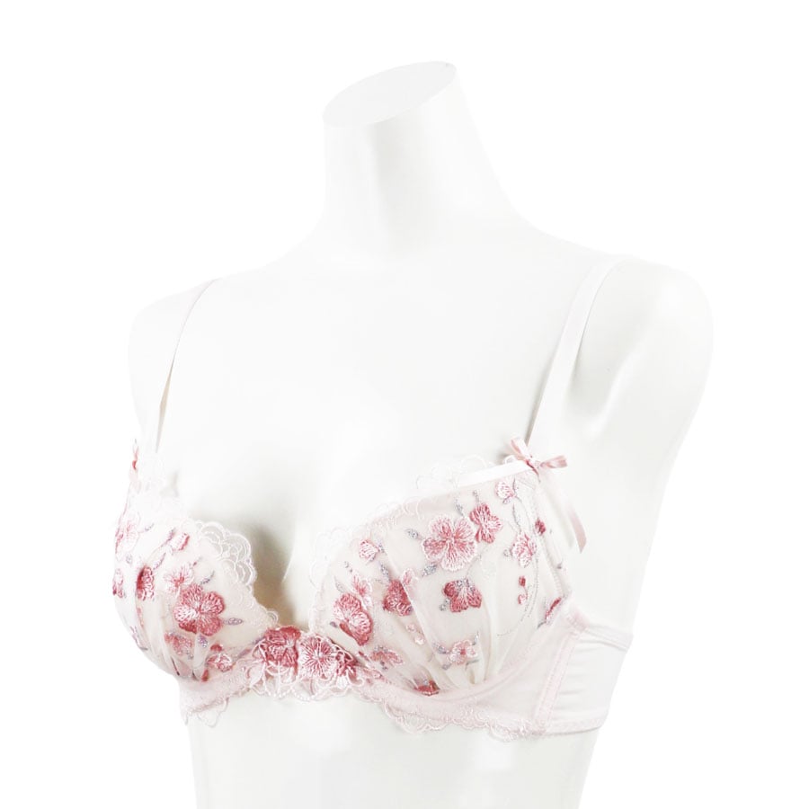 �ʥǥ������֥顡�ƣǥ��å�