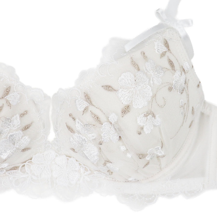 �ʥǥ������֥顡�ƣǥ��å�