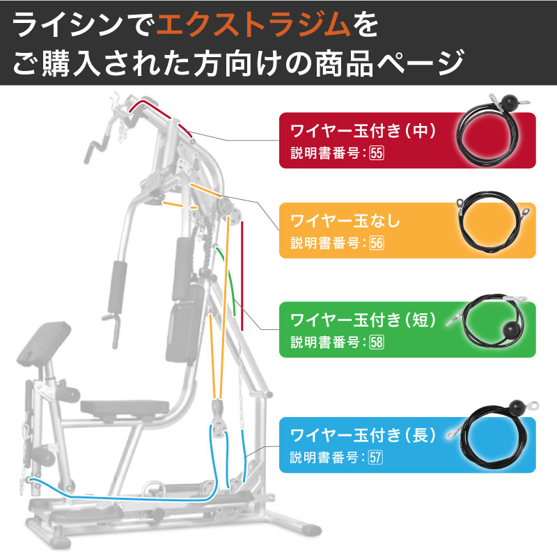 �饤���� �������ȥ饸�� ���� �磻�䡼