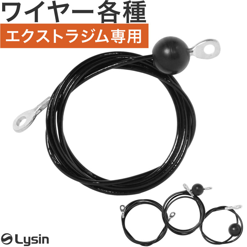 �饤���� �������ȥ饸�� ���� �磻�䡼