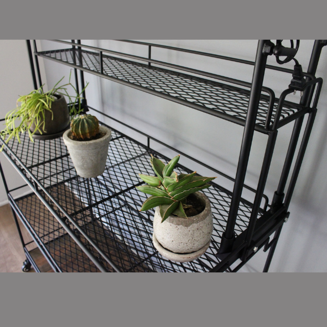 植物棚 楽天市場】【5％OFFクーポン配布中】 棚 ラック スチールラック