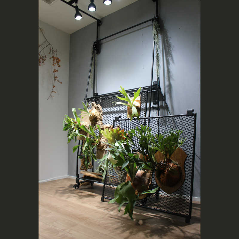 5_000000000016.png?1750310139