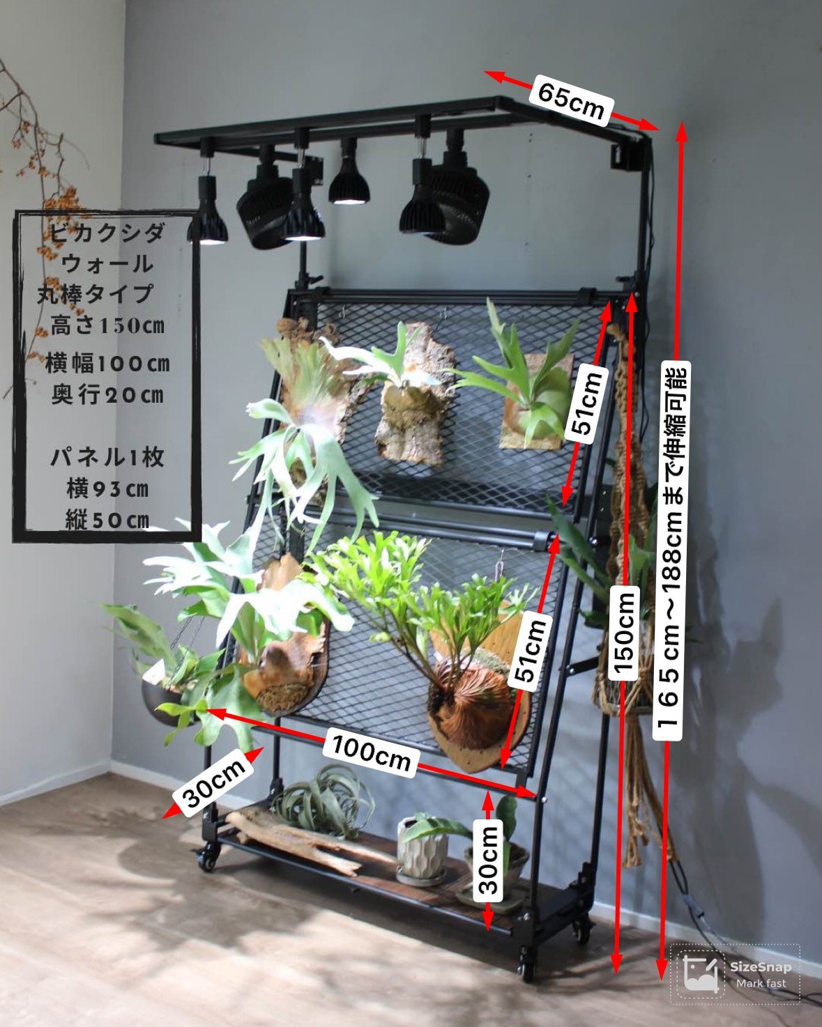 ビカクシダウォール高さ150㎝ 丸棒タイプ こうもり蘭 | ビカクウォール
