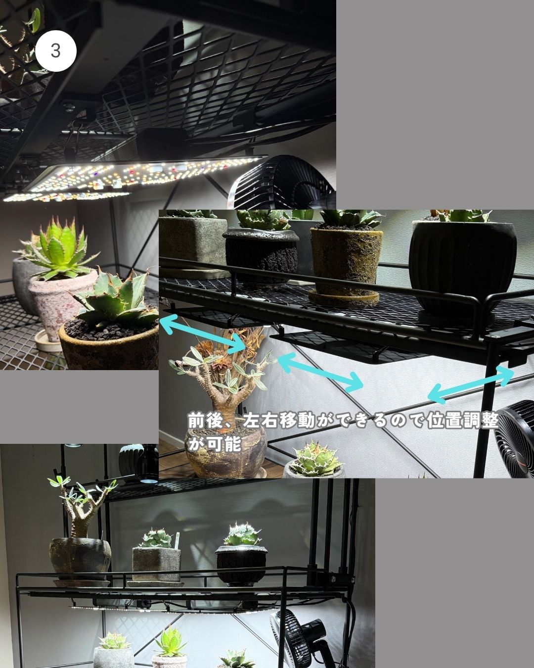 植物棚水受けトレー付き、ライティングレール付き！ライト高さ調整可能バー通気性抜群 水受けトレー付き1段植物棚（ダクトレール付き） | Lim iron craft