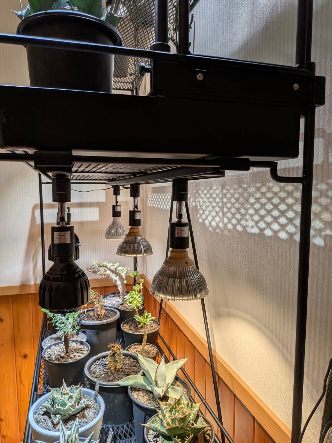 全段水受けトレー付き植物棚 ライティングレール ボタニカルシェルフ