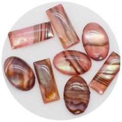 B065 �����󥢡��ȥ��꡼��