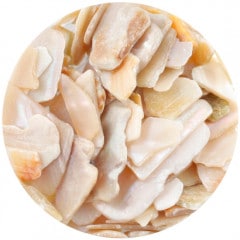 B294 �����󥢡��ȥ��꡼��