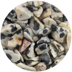 B295 �����󥢡��ȥ��꡼��