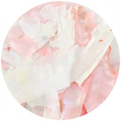 B297 �����󥢡��ȥ��꡼��