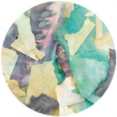 B299 �����󥢡��ȥ��꡼��