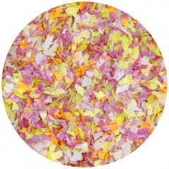 B278 �ϥ����졼�ɥ��꡼��