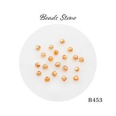 B453 �ӡ������ȡ���