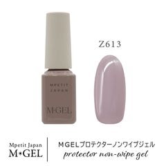 Z613 MGEL�ץ��ƥ������Υ�磻�ץ�����