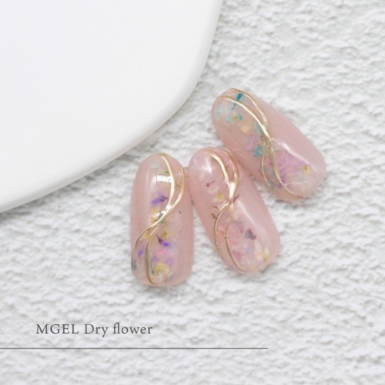 B461 MGEL�ɥ饤�ե�