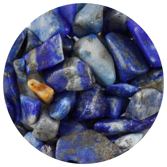 B219 �ʥ����륹�ȡ���