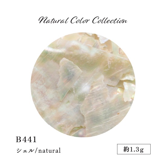 B441 �ʥ����륫�顼���쥯�����