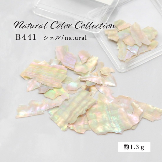 B441 �ʥ����륫�顼���쥯�����