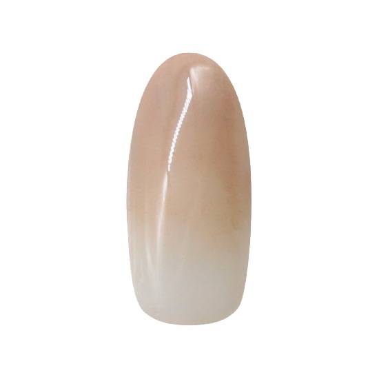 Z552 MGEL ����ǡ�����󥸥���