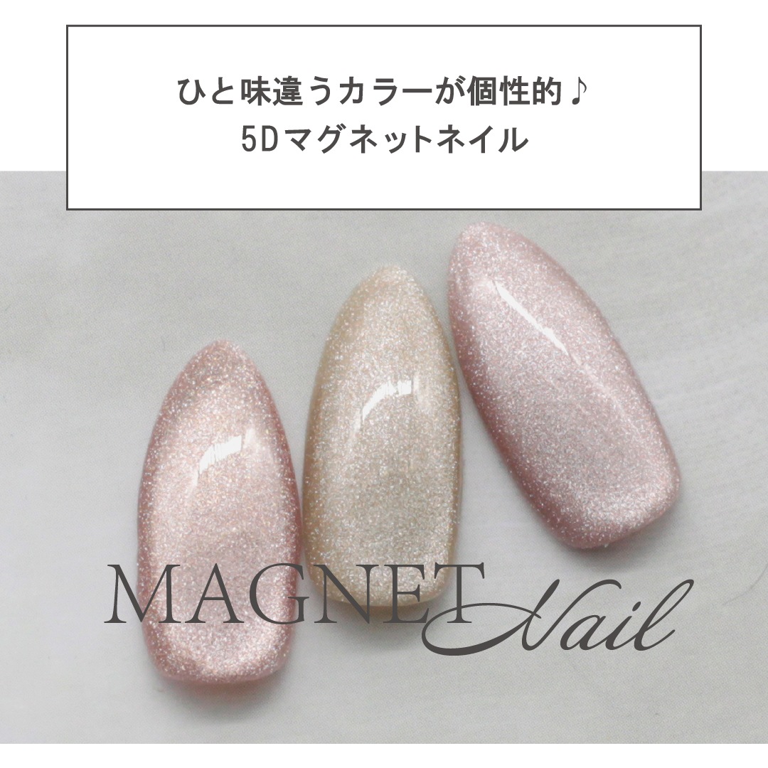 Z520 MGEL �ޥ��ͥåȥͥ���3